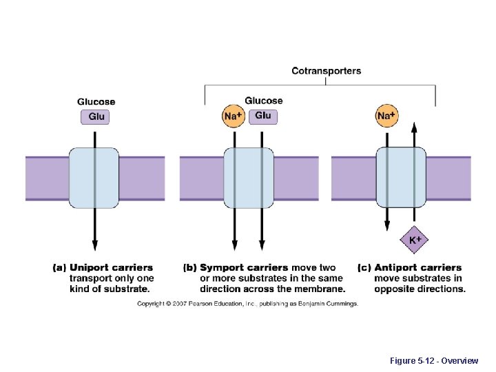 Figure 5 -12 - Overview 