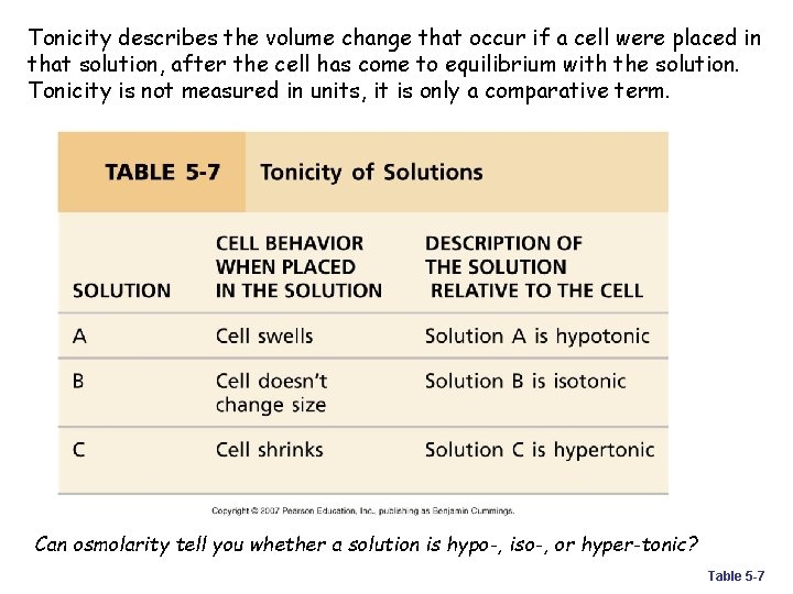 Tonicity describes the volume change that occur if a cell were placed in that