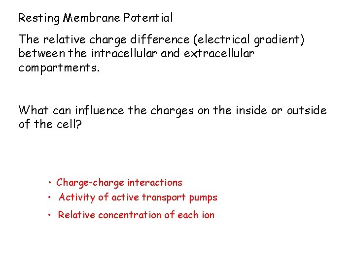 Resting Membrane Potential The relative charge difference (electrical gradient) between the intracellular and extracellular