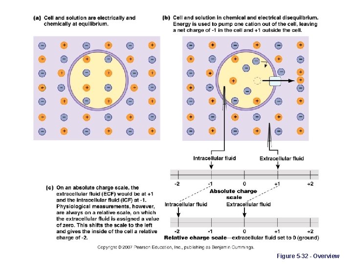 Figure 5 -32 - Overview 