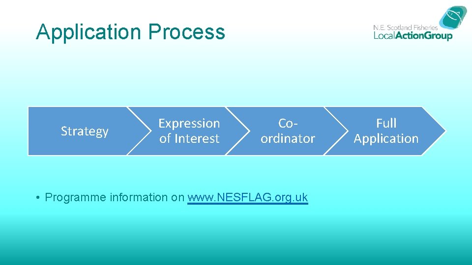 Application Process Strategy Expression of Interest Coordinator • Programme information on www. NESFLAG. org.