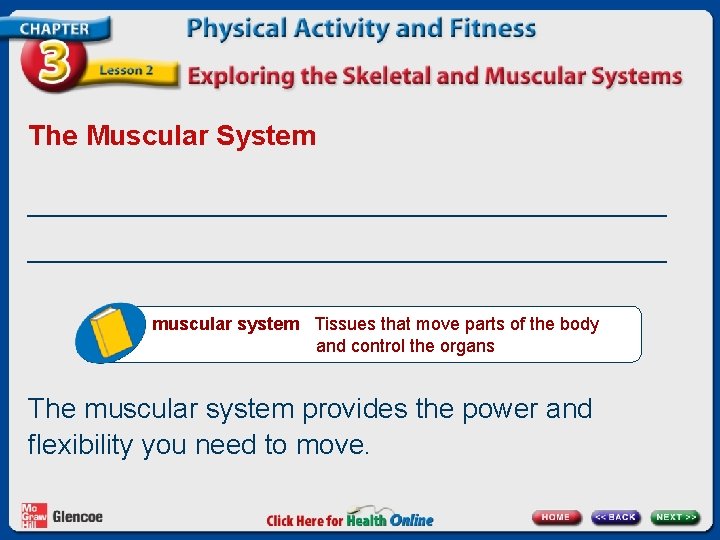 The Muscular System _________________________________________ muscular system Tissues that move parts of the body and