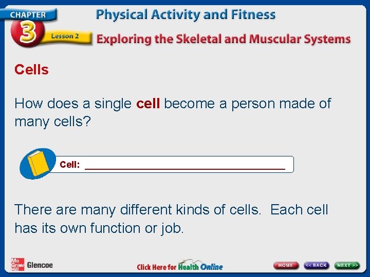 Cells How does a single cell become a person made of many cells? Cell: