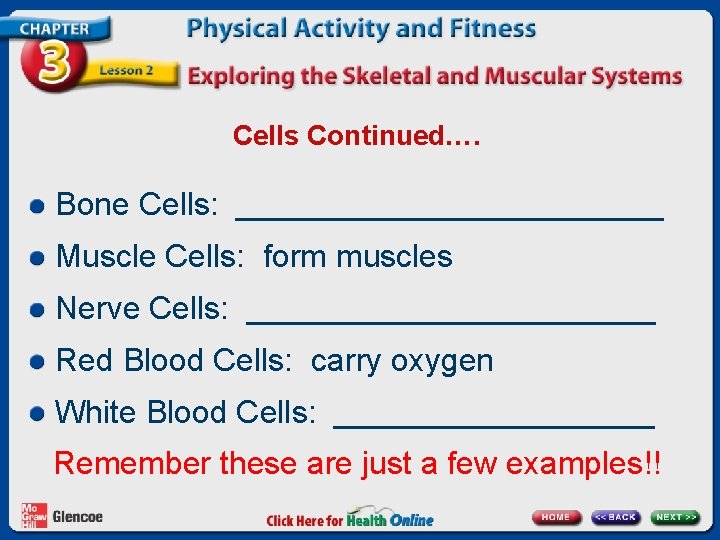 Cells Continued…. Bone Cells: ____________ Muscle Cells: form muscles Nerve Cells: ____________ Red Blood