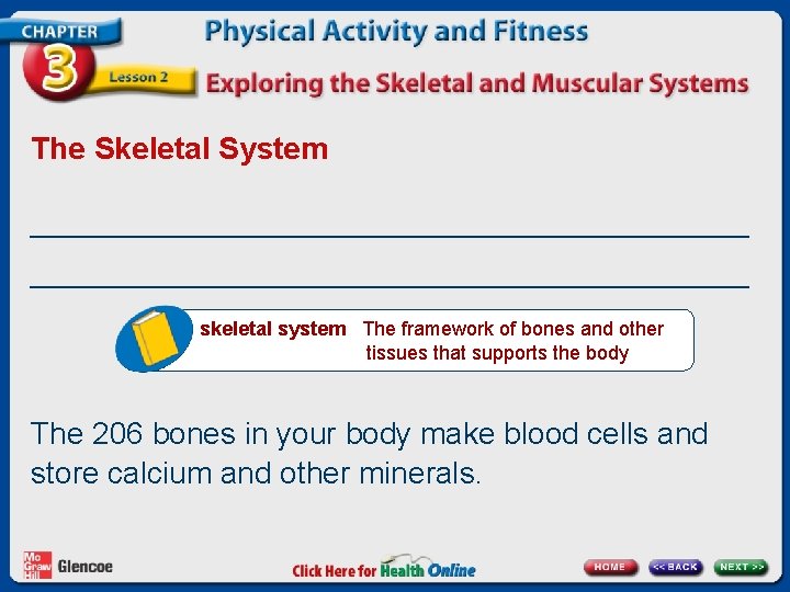 The Skeletal System __________________________________________ skeletal system The framework of bones and other tissues that