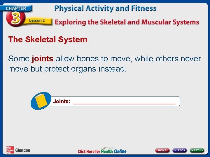 The Skeletal System Some joints allow bones to move, while others never move but
