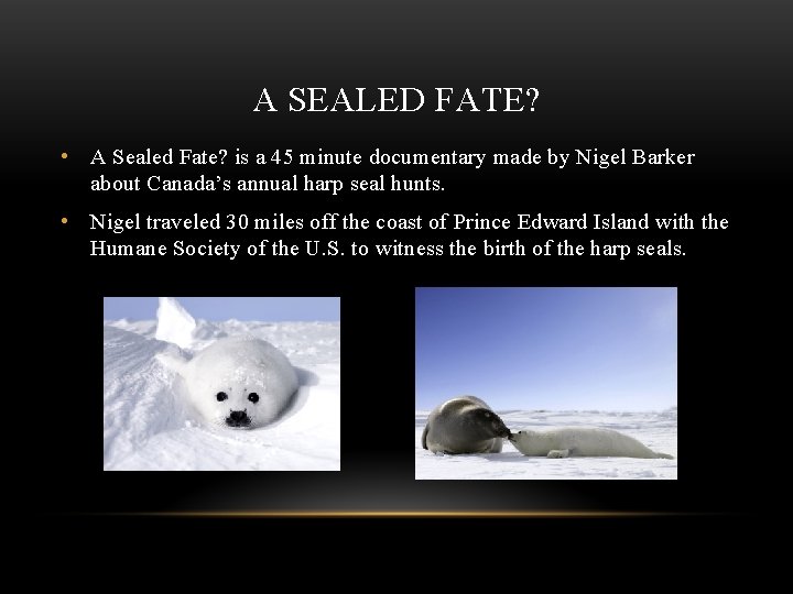 A SEALED FATE? • A Sealed Fate? is a 45 minute documentary made by