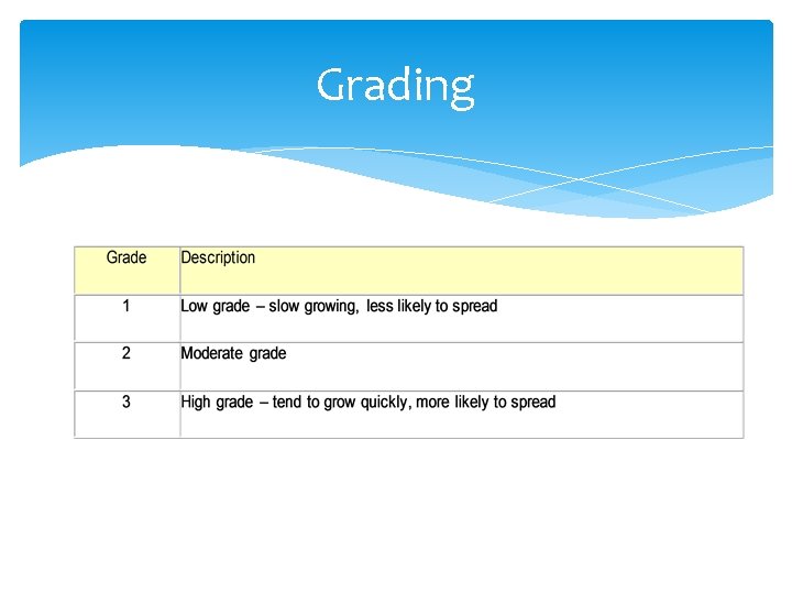 Grading 