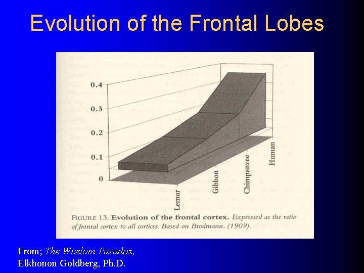 Evolution of the Frontal Lobes From; The Wisdom Paradox, Elkhonon Goldberg, Ph. D. 