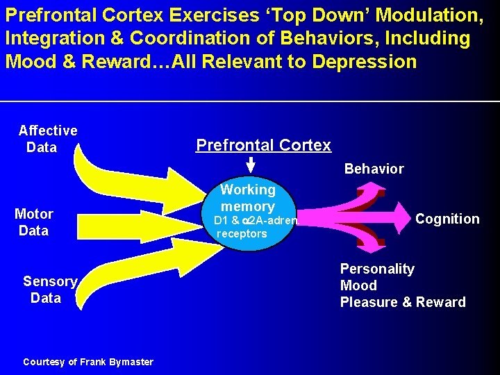 Prefrontal Cortex Exercises ‘Top Down’ Modulation, Integration & Coordination of Behaviors, Including Mood &