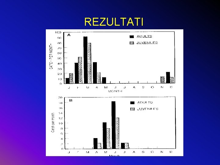 REZULTATI 