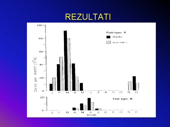 REZULTATI 