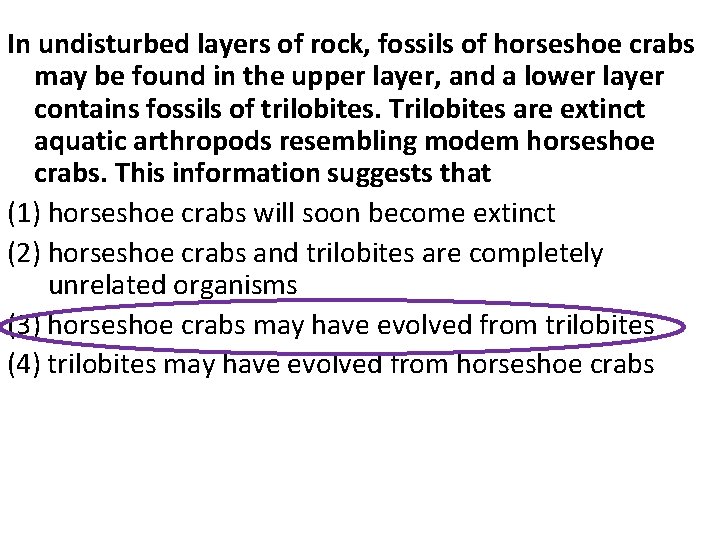 In undisturbed layers of rock, fossils of horseshoe crabs may be found in the