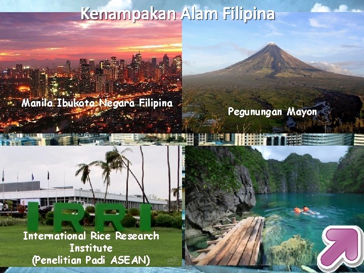 Kenampakan Alam Filipina Manila Ibukota Negara Filipina International Rice Research Institute (Penelitian Padi ASEAN)