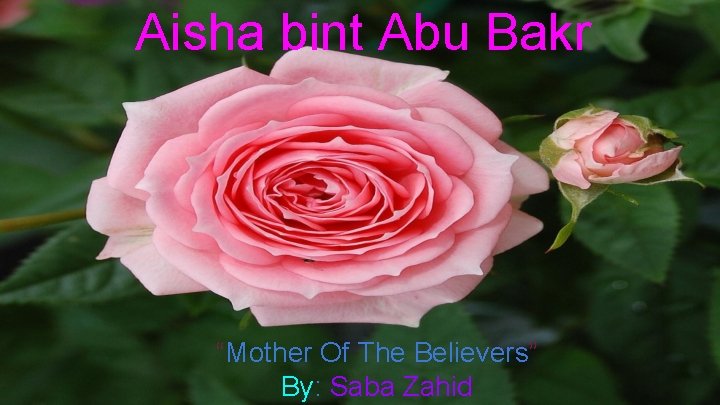 Aisha bint Abu Bakr “Mother Of The Believers” By: Saba Zahid 