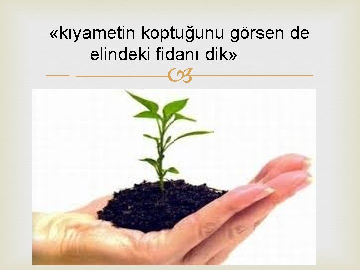  «kıyametin koptuğunu görsen de elindeki fidanı dik» 