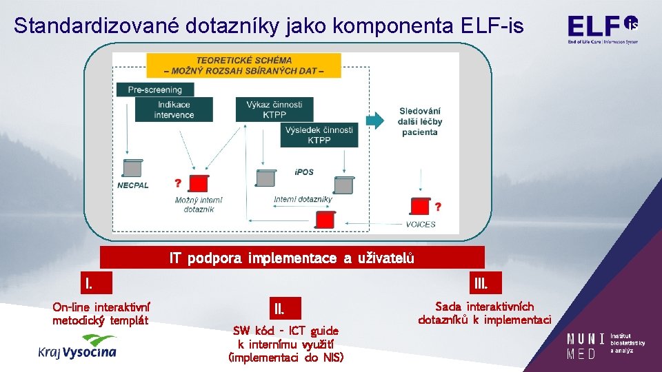 Standardizované dotazníky jako komponenta ELF-is IT podpora implementace a uživatelů I. On-line interaktivní metodický