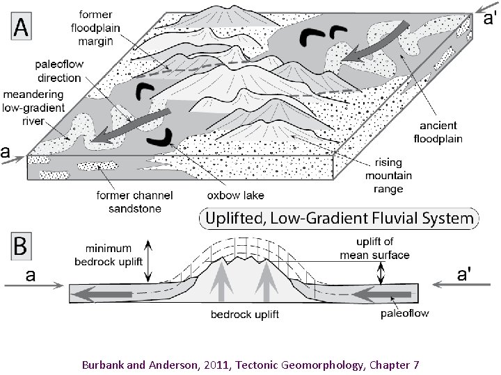 Burbank and Anderson, 2011, Tectonic Geomorphology, Chapter 7 