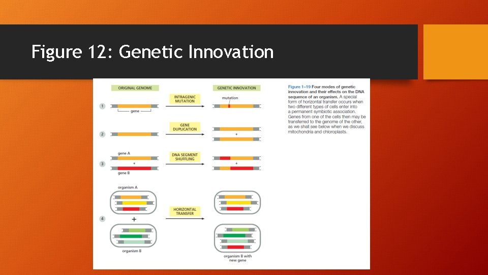Figure 12: Genetic Innovation 