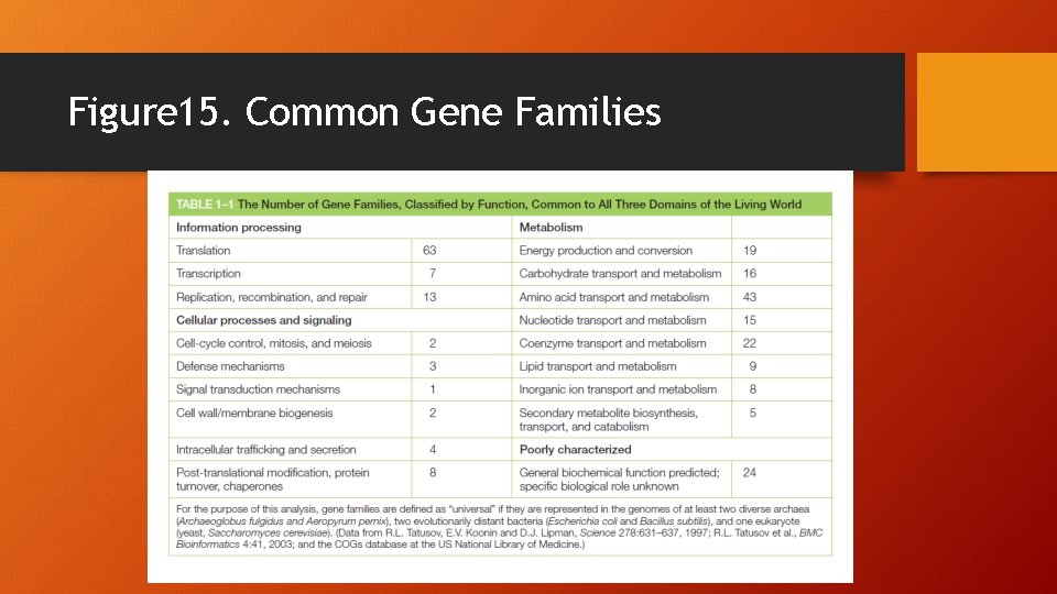 Figure 15. Common Gene Families 