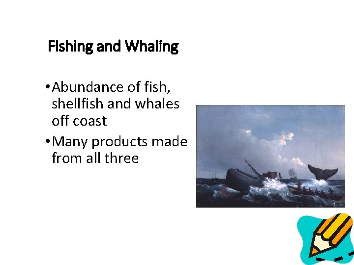 Fishing and Whaling • Abundance of fish, shellfish and whales off coast • Many