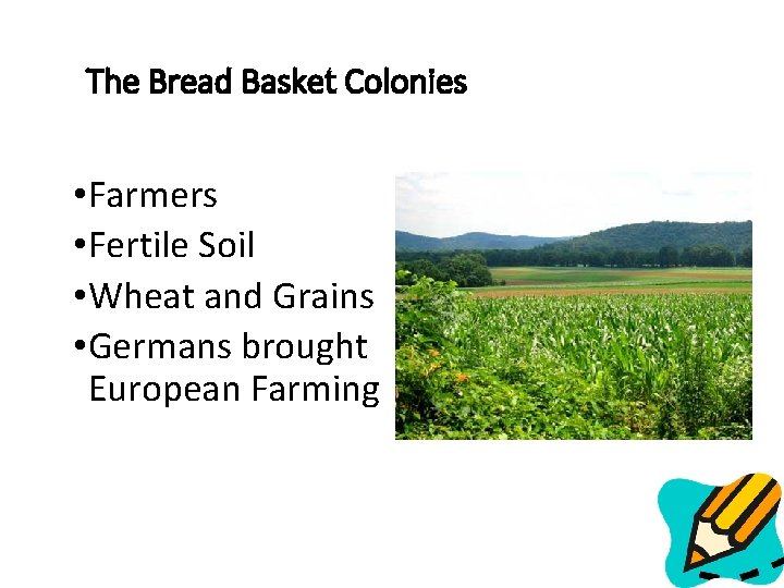 The Bread Basket Colonies • Farmers • Fertile Soil • Wheat and Grains •