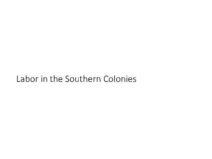 Labor in the Southern Colonies 