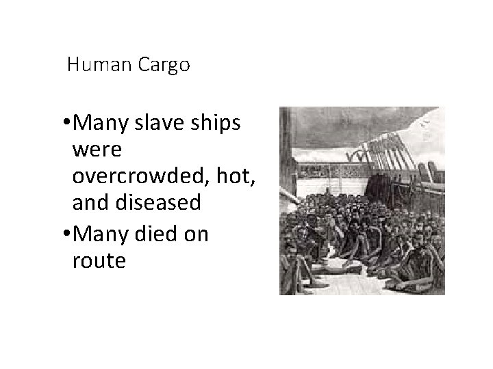 Human Cargo • Many slave ships were overcrowded, hot, and diseased • Many died