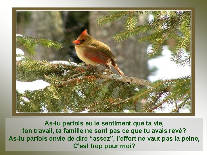 As-tu parfois eu le sentiment que ta vie, ton travail, ta famille ne sont