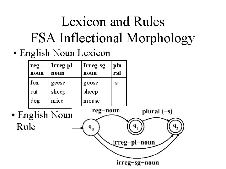 Lexicon and Rules FSA Inflectional Morphology • English Noun Lexicon regnoun Irreg-plnoun Irreg-sg- plu