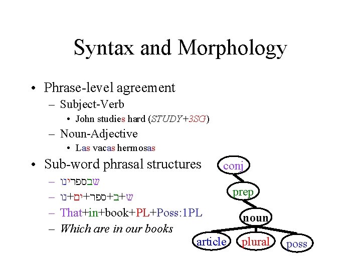 Syntax and Morphology ● Phrase-level agreement – Subject-Verb ● John studies hard (STUDY+3 SG)