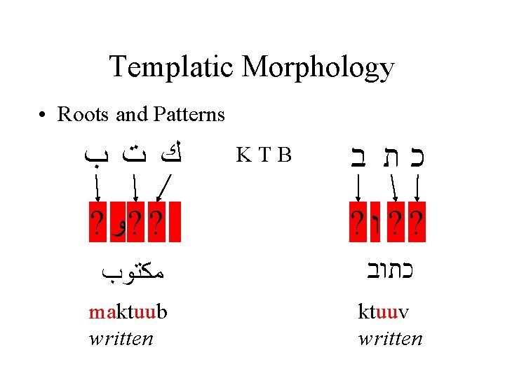 Templatic Morphology • Roots and Patterns ﻙ ﺕ ﺏ KTB כת ב ? ?