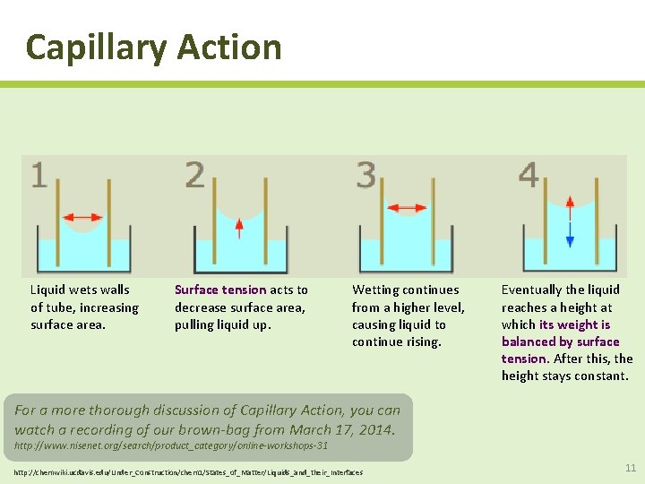Capillary Action Liquid wets walls of tube, increasing surface area. Surface tension acts to