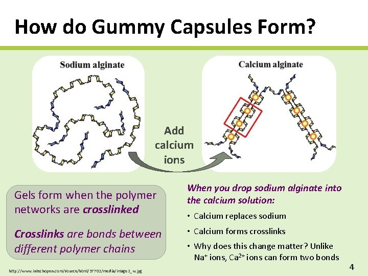 How do Gummy Capsules Form? Add calcium ions Gels form when the polymer networks