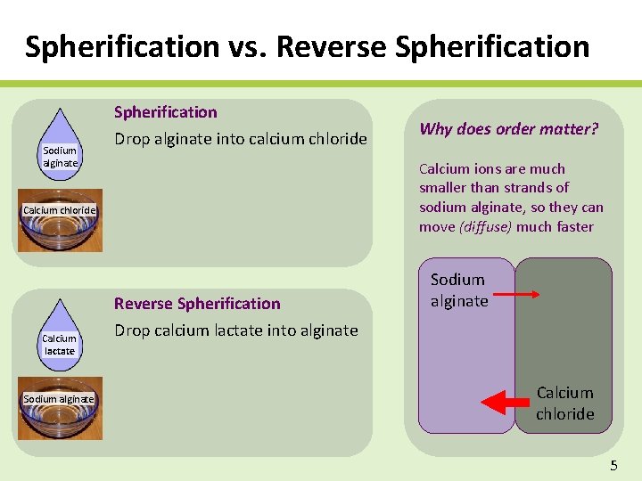 Spherification vs. Reverse Spherification Sodium alginate Drop alginate into calcium chloride Calcium ions are