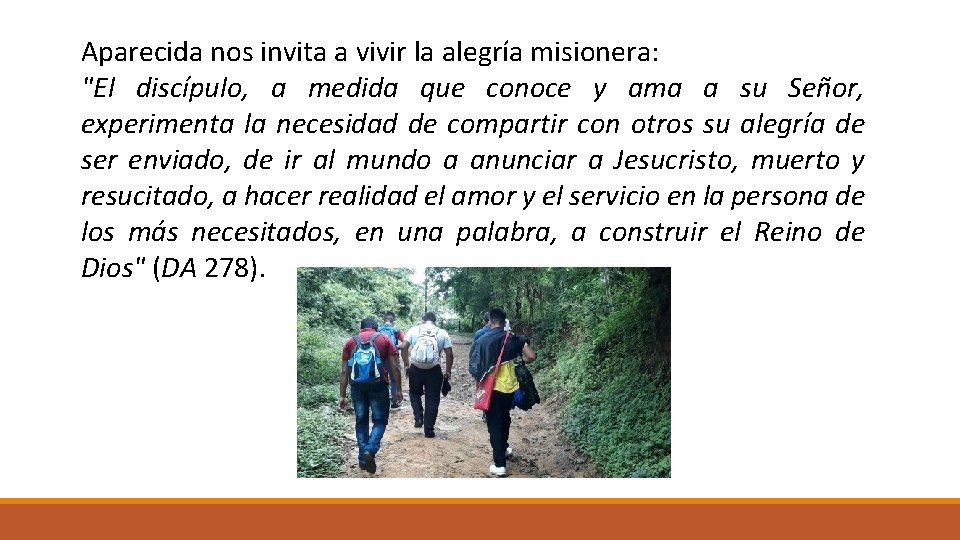 Aparecida nos invita a vivir la alegría misionera: "El discípulo, a medida que conoce