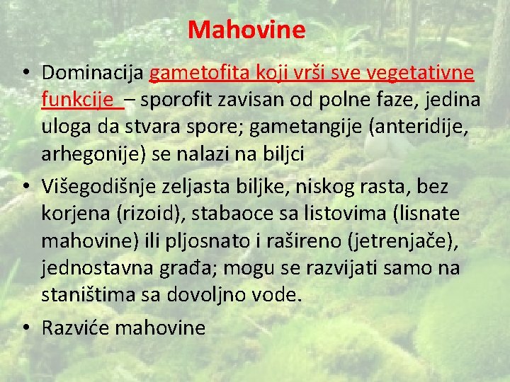 Mahovine • Dominacija gametofita koji vrši sve vegetativne funkcije – sporofit zavisan od polne
