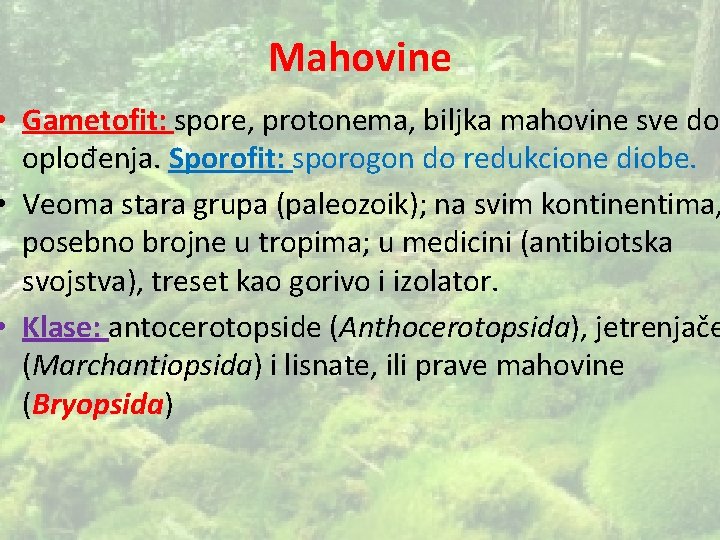 Mahovine • Gametofit: spore, protonema, biljka mahovine sve do oplođenja. Sporofit: sporogon do redukcione