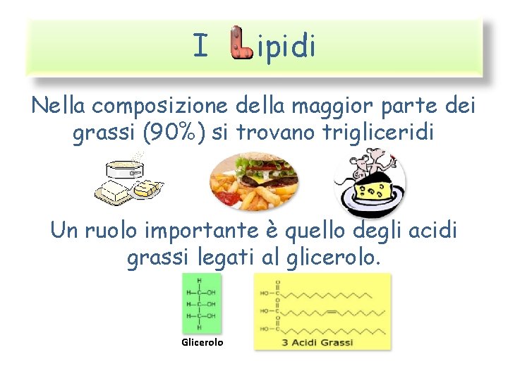 I ipidi Nella composizione della maggior parte dei grassi (90%) si trovano trigliceridi Un