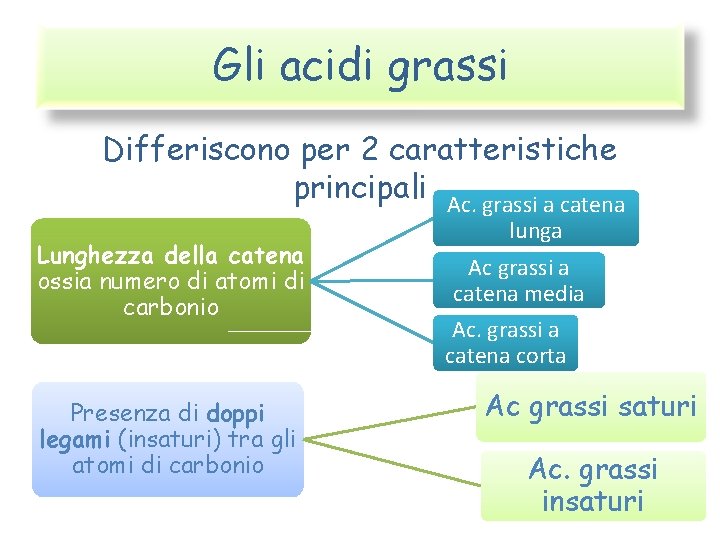 Gli acidi grassi Differiscono per 2 caratteristiche principali Ac. grassi a catena Lunghezza della