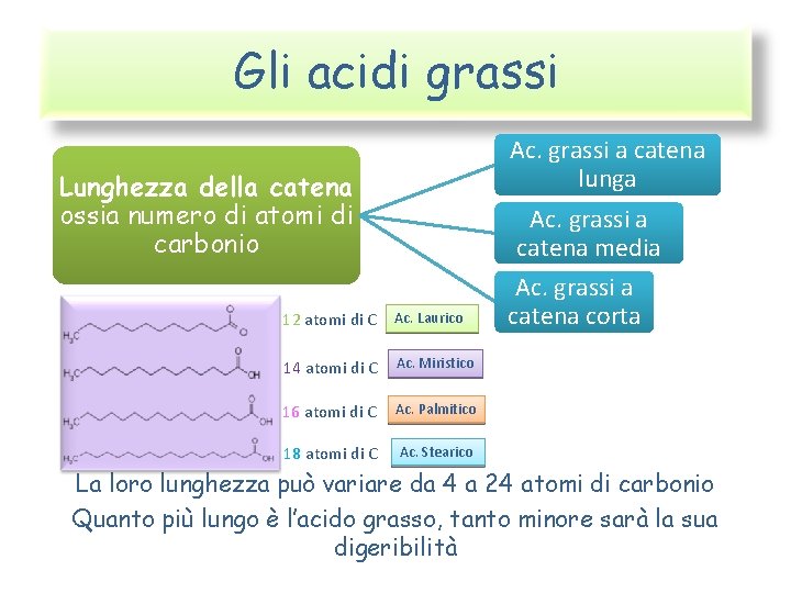 Gli acidi grassi Ac. grassi a catena lunga Lunghezza della catena ossia numero di
