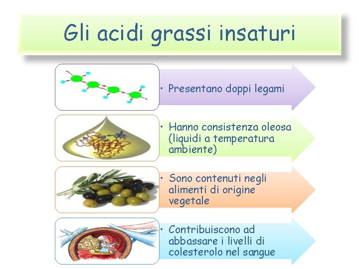 Gli acidi grassi insaturi • Presentano doppi legami • Hanno consistenza oleosa (liquidi a