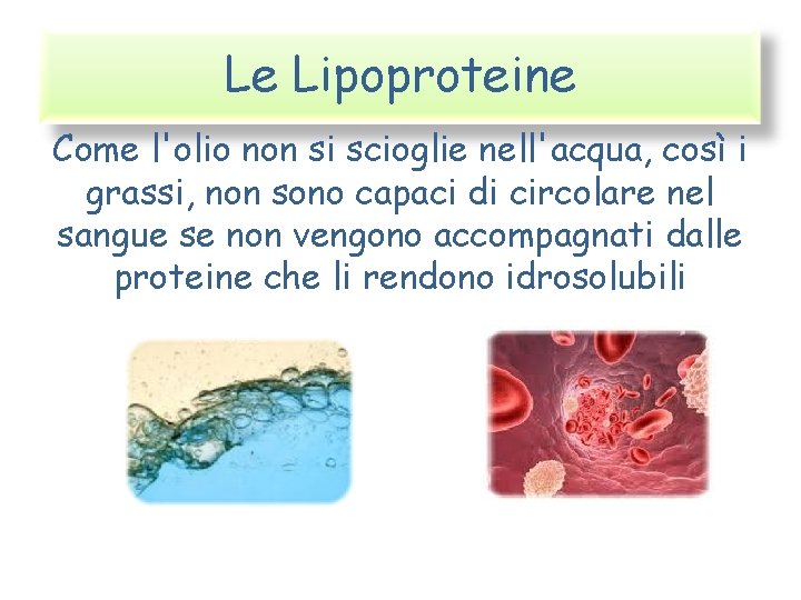 Le Lipoproteine Come l'olio non si scioglie nell'acqua, così i grassi, non sono capaci