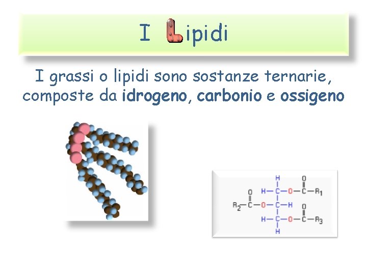 I ipidi I grassi o lipidi sono sostanze ternarie, composte da idrogeno, carbonio e