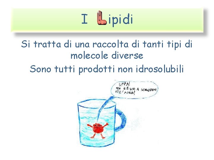 I ipidi Si tratta di una raccolta di tanti tipi di molecole diverse Sono