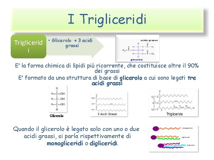 I Trigliceridi Triglicerid i • Glicerolo + 3 acidi grassi E’ la forma chimica