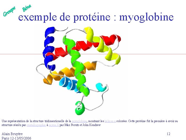 e p u Gro a n é B exemple de protéine : myoglobine Une