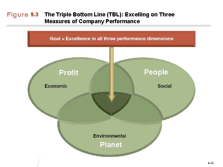 9. 3 The Triple Bottom Line (TBL): Excelling on Three Measures of Company Performance