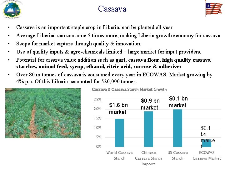 Cassava • • • Cassava is an important staple crop in Liberia, can be