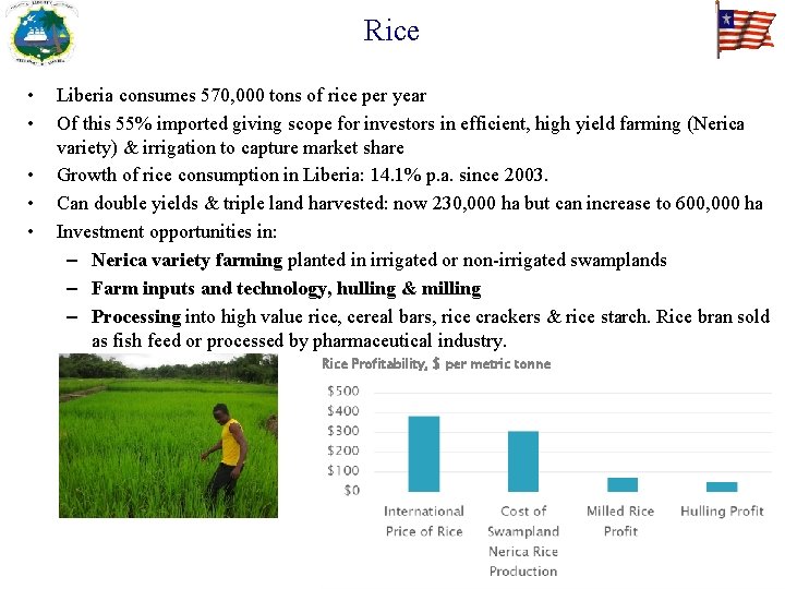 Rice • • • Liberia consumes 570, 000 tons of rice per year Of